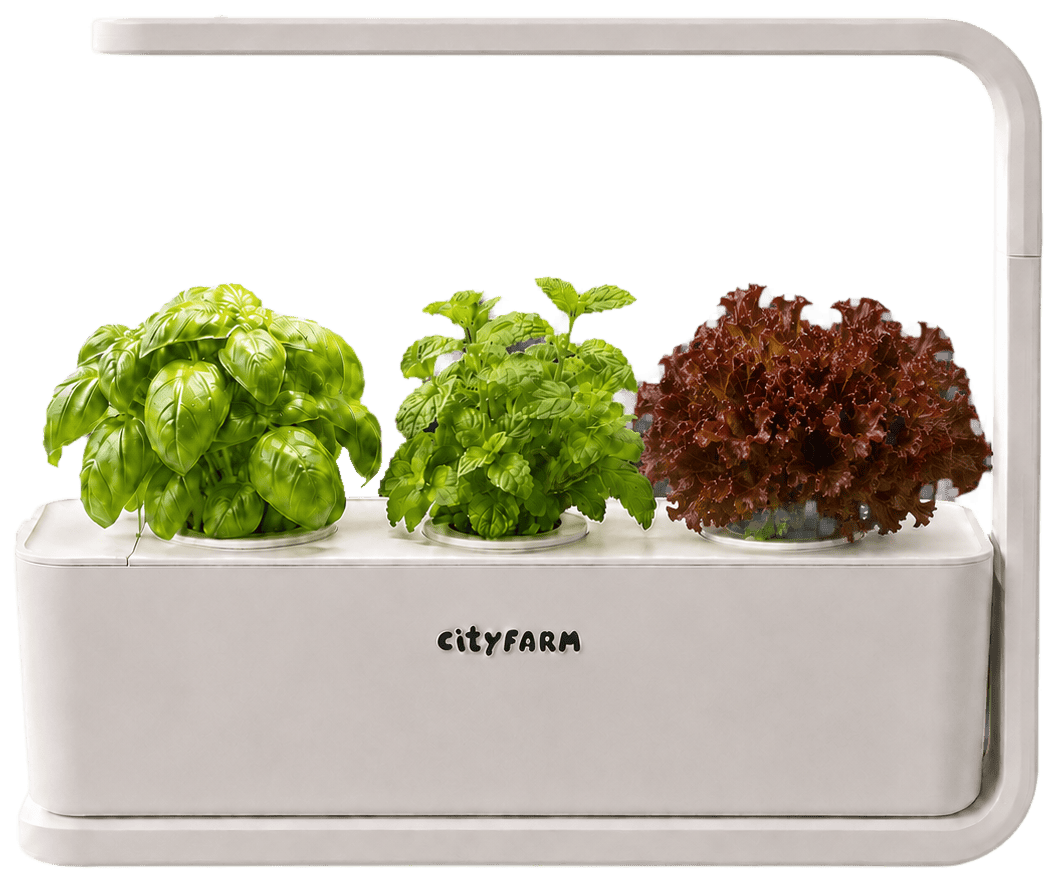 Growly - the CityFarm kitchen mini-farm with basil, mint and red lettuce under LED light