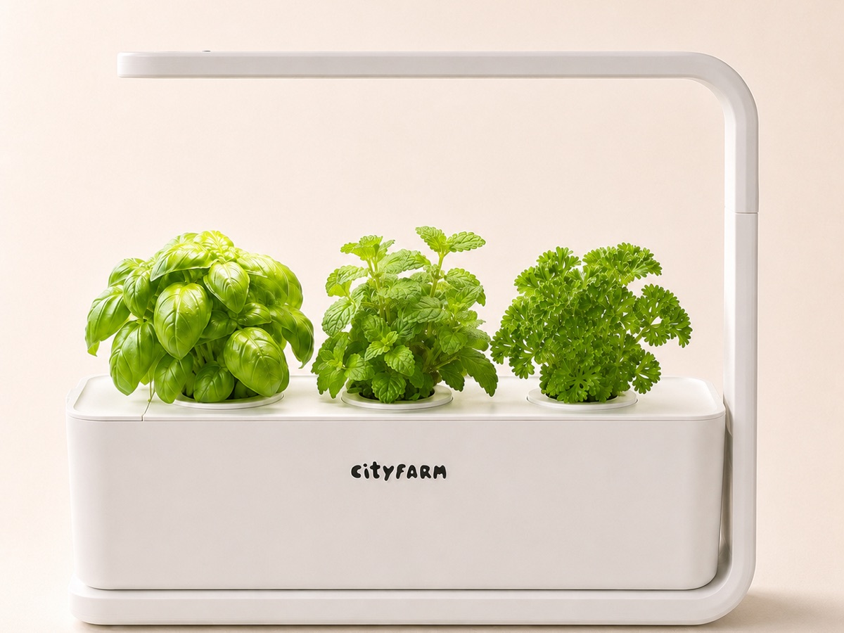 Growly · white CityFarm kitchen mini-farm with basil, mint and parsley under LED light