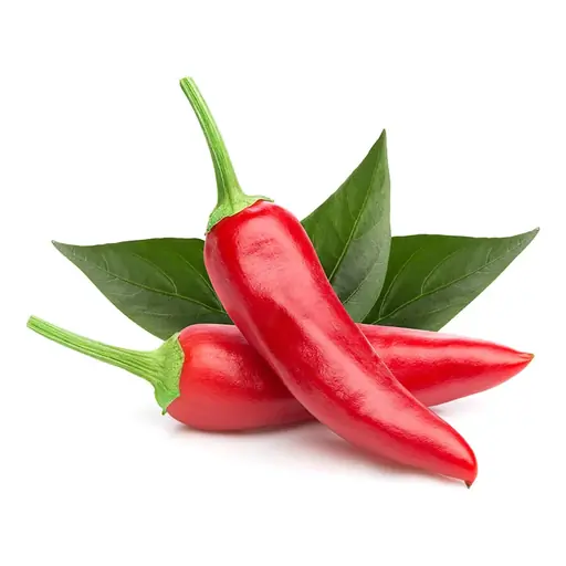 Chili peppers grown under LEDs at the CityFarm vertical farm in Chișinău