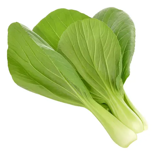 Pak Choi grown under LEDs at the CityFarm vertical farm in Chișinău
