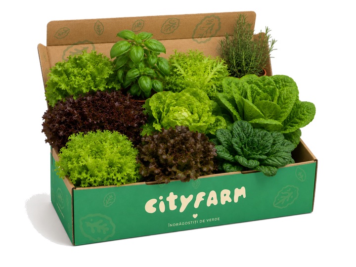Cutia mare Familie CityFarm cu verdețuri vii pentru 4+ persoane