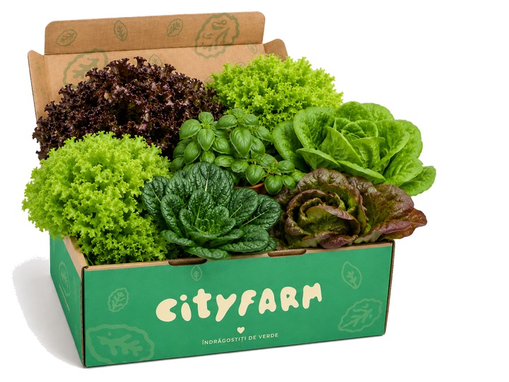 Cutia Fresh CityFarm cu salate, ierburi și microgreens vii