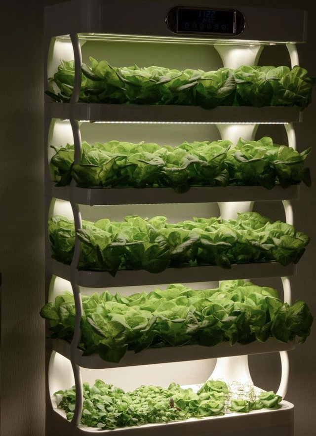 Agrobiznes article about vertical farming in supermarkets