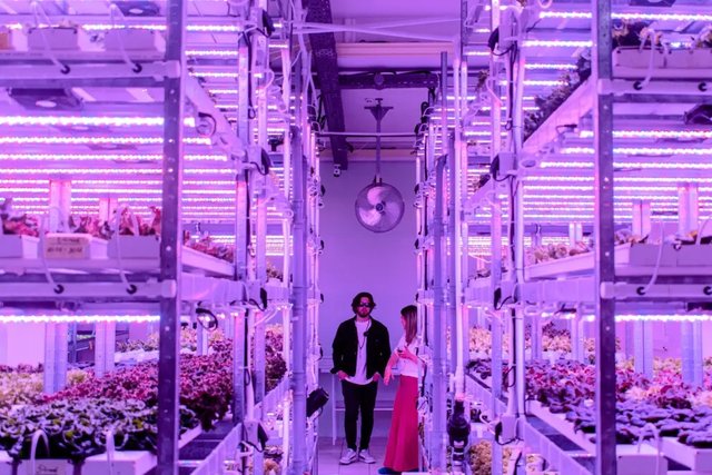 Nokta article about vertical farming, AI and drones in Moldova