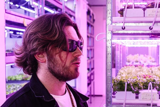 Articol Startup Moldova despre CityFarm