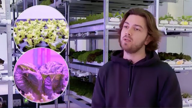 Stiri.md economic article about CityFarm